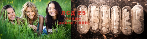 мескалин Бугульма