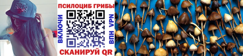 Галлюциногенные грибы Magic Shrooms  Купить где  Гатчина 