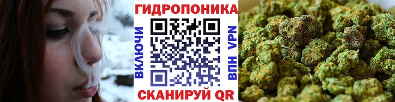Каннабис MAZAR  Купить  Гатчина 